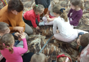 Dzieci z grupy Kaczuszek oglądają kawałek konara z nawierconymi otworami.